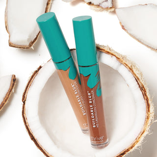 concealer ingredients v2