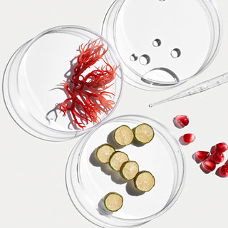 Image: Ingredients | Always Formulated Without Harmful Ingredients