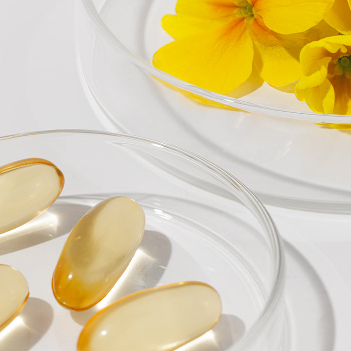 Transparent petri dishes with capsules and yellow flowers on white background.