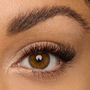 Gallery | Instant Lashes - Courtney Model Macro