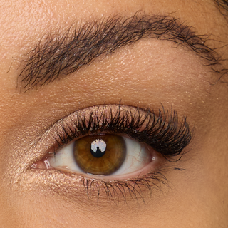 Gallery | Instant Lashes - Courtney Model Macro